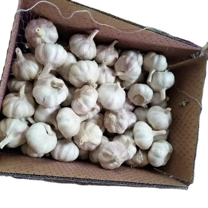 Bawang putih merah ukuran 6-7cm bawang putih segar 10kg paket karton penawaran Cina