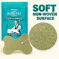 Patchs de Soin Corporel pour les Bras aux Herbes Naturelles Détoxifiantes, Perte de Poids, Hypoallergéniques, Certifiés CE, 12 Pièces/Sac, 37g, Emballage Personnalisé en Gros