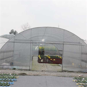 Màu xanh lá cây nhà kim loại khung thiết bị serre agricole nhà kính Nguồn cung cấp Poly Đường hầm - Product Image 3