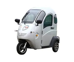 Carros Electrico Infantil Adults Import Sports車Adult Electric Car From China