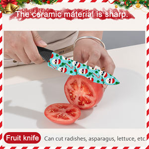 Couteau de chef très vendu, 2 ensembles, lame en céramique, couteau pliant en plastique, ambidextre, pour les aventures en plein air, les voyages en camping - Product Image 3