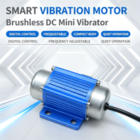 Vibrateur sans balais 12V DC compact pour massage - Moteur à vibrations - Offre spéciale