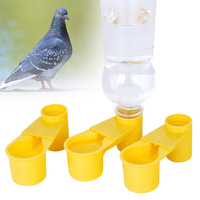 Abreuvoir en plastique pour pigeon, accessoires pour oiseaux, bouteille d'eau, abreuvoir à double bec, gobelet à eau, distributeur d'eau automatique pour perroquet