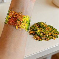 Poudre de mica opale à effet caméléon haute performance, pigment en vrac pour le nail art et les fournitures de décoration artisanale DIY