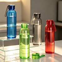 Bouteille d'eau en verre borosilicate coloré de qualité supérieure, personnalisée, 500 ml (16 oz), pour infusion à froid, avec bouchon en plastique et poignée de transport en silicone