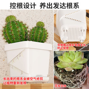 Pot à succulentes Qinfeng 14 cm carré en plastique avec plateau de drainage pour plantes d'intérieur de bureau - Product Image 3
