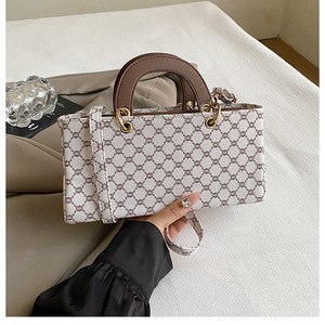 Túi <span class=keywords><strong>Tote</strong></span> Thiết Kế Sang Trọng Cho Nữ, Túi Xách Tay Dung Tích Lớn, Túi Đeo Vai In Họa Tiết Thời Trang, Túi Mua Sắm Mới Phong Cách - Product Image 2