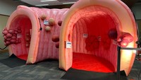 Tunnel gonflable géant personnalisé étanche en forme d'organe humain, tunnel gonflable en forme de côlon