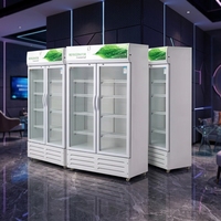 Vitrine réfrigérée avec logo personnalisé, porte en verre transparent, pour boissons