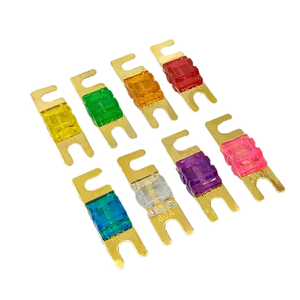 Fusibile ANL/ANM/ANS ad Alta Corrente Personalizzato per Auto, Fusibile Automotive con Fissaggio a Bullone - Product Image 4