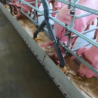 Système d'alimentation automatique intelligent pour la fermentation liquide en élevage porcin avec fonction d'auto-nettoyage
