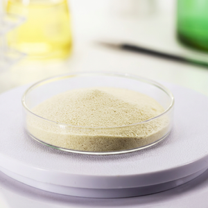 Isolat de protéines de levure 100 % pur, riche en protéines, ingrédient végétalien en poudre pour le développement nutritionnel fonctionnel FitTree International - Product Image 1