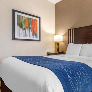 Múltiples proyectos de marcas hoteleras nacionales e internacionales conocidas cubren habitaciones de invitados de alta gama, vestíbulos, restaurantes, obras de arte - Product Image 3