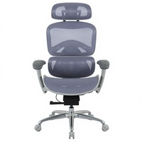 Chaise de bureau ergonomique Henglin en maille avec appui-tête 2D, accoudoirs 3D, vérin à gaz à 4 niveaux et roulettes silencieuses