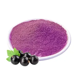 Polvo de fruta de bayas de Acai orgánico natural puro