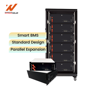 Factory Price Wingosolar <b>Rack</b> Mounted Battery Pack 51.2V 200Ah 6000 Cycles Solar Energy Storage Lithium Ion M16S100BL-V - Product Image 1