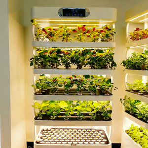 Sistema de Cultivo Hidropónico Inteligente NFT OxyGarden con Luz LED de Espectro Completo, Bomba Ecológica, Sistema de Cultivo de Vegetales sin Suelo para Interiores y Hogar - Product Image 1
