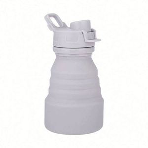 Travel 500Ml Capacity Water <b>Bottle</b> for Adults - Product Image 1