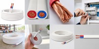 Câble plat isolé en PVC BVVB 2x2.5mm2 2x4mm2 2x6mm2 Conducteur en cuivre pur 450/750V Câble de câblage électrique