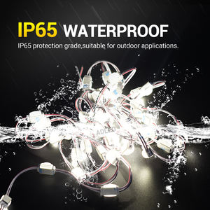 Módulo LED Mini SMD2835 DC12V 1LED 100lm/W Regulable IP65 para Iluminación de Señalización de Ahorro Energético - Product Image 5