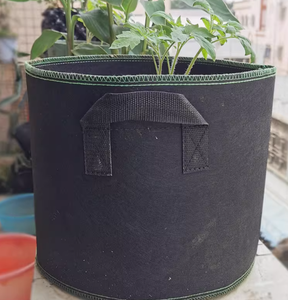 Bao trồng cây không dệt chống rễ rủ dành cho cây cam quýt và cây quả mọng - Product Image 6