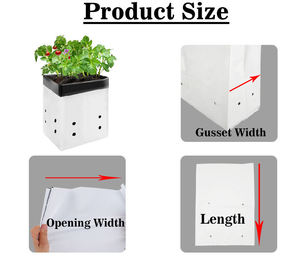 Sac <span class=keywords><strong>de</strong></span> culture carré en plastique PE noir et blanc anti-UV <span class=keywords><strong>de</strong></span> 10 gallons pour fraises, pour pépinière, ferme et serre RAYBO - Product Image 5