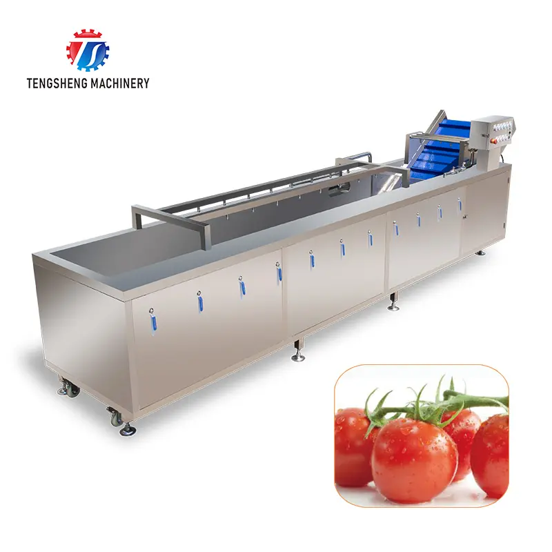 אוטומטי ירקות כביסה מכונה מסחרי ירקות ופירות מכונת כביסה גדול ירקות כביסה מכונה