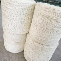 Corde en fibre de sisal blanchie 100% naturelle, corde de Manille torsadée à 3 brins, corde de chanvre recyclable pour l'amarrage maritime
