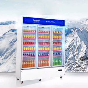 <span class=keywords><strong>Réfrigérateur</strong></span> commercial de double porte de refroidisseur d'affichage de boissons de <span class=keywords><strong>réfrigérateur</strong></span> de boisson de nouveau style pour le supermarché - Product Image 3
