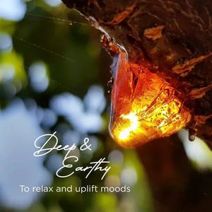 OEM Private Label Weihrauch & Myrrhe ätherisches Öl Roll-On <span class=keywords><strong>Synergy</strong></span> Blend für die homöopathische Aroma therapie - Product Image 4