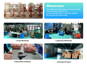 Modelo Anatómico Pélvico Masculino de Alta Calidad ADA-A5753 con Suelo Pélvico, para Enseñanza Médica y Aprendizaje de Anatomía Humana para Estudiantes de Medicina - Product Image 6