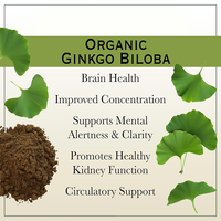 Capsules d'extrait de feuille de Ginkgo Biloba pur végétalien 500mg en gros, marque privée OEM, pour la santé cérébrale et la concentration