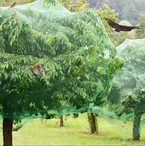 Chất lượng cao <span class=keywords><strong>PE</strong></span> nhà máy chống chim lưới để kiểm soát dịch hại để bảo vệ ngoài trời hoa rau và cây - Product Image 3