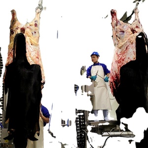 Abreuserie, coupeur naturel de vache et <span class=keywords><strong>mouton</strong></span>, Machine d'<span class=keywords><strong>abattoir</strong></span> - Product Image 1