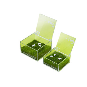 Un césped, un césped privado, un terrario de musgo, una planta verde de escritorio para oficina, una planta en maceta, un regalo, un regalo cultural y creativo - Product Image 5