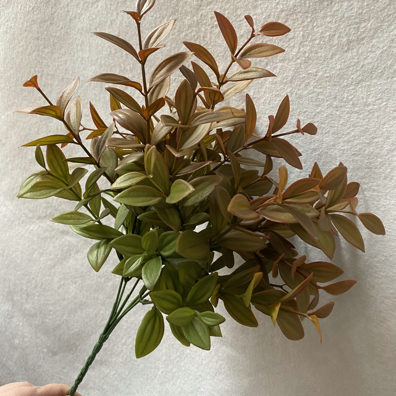 สีน้ำตาล