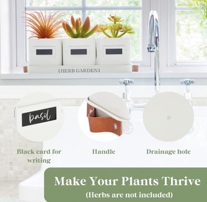 Set of 3 <strong>Kitchen</strong> Windowsill <strong>Herb</strong> Pots Indoor <strong>Herb</strong> Garden <strong>Planter</strong> with Tray for Home Use Eco-Friendly Plant Fiber Customizable - Product Image 4