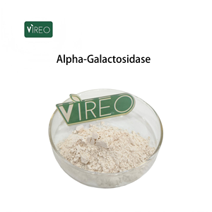 Enzimi Alimentari di Grado Alimentare Polvere di Alfa-Galattosidasi 10000 U/g a Prezzo all'Ingrosso - Product Image 1