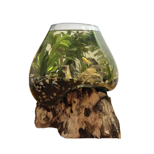 DIY透明玻璃地板花瓶，带花浮木优雅DIY玻璃容器风格水晶花瓶 - Product Image 5