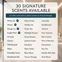 Diffuseur d'arômes, huile essentielle de recharge, pureté 100%, extrait de plantes naturelles, parfum d'hôtel cinq étoiles, parfum durable, spray au thé blanc