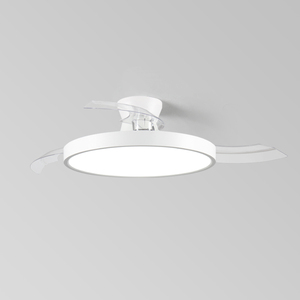 Kit d'entrepôt commercial de luxe à enroulement invisible de <span class=keywords><strong>lustre</strong></span> à distance dans la lumière de ventilateur de plafond de silence de <span class=keywords><strong>ventilation</strong></span> - Product Image 4