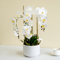 Phalaenopsis Kunstbloemen Kunstmatige vlinderorchidee Grote plantenpotten Keramische plantenpotten Bloempotten voor thuisdecoratie