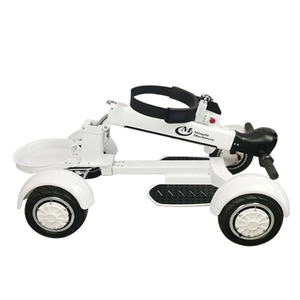 Superventas Mini Golf Board Scooter Cuatro ruedas Golf Skate Caddy All Terrain Electric Golf Skateboard - Product Image 3
