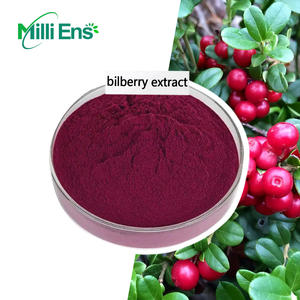 卸売4:1天然ビルベリーエキス25%-30% アントシアニン粉末食品グレードビタミンサプリメントボトル - Product Image 2