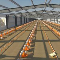 Système de poulailler modulaire-Connexion par boulon, expansion facile, 10,000 oiseaux par unité
