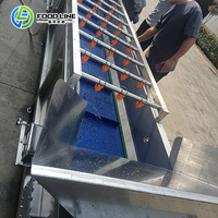 Hoog rendement bubbelreinigingsapparatuur, circulerende sproeibubbelwasmachine voor het reinigen van verse producten