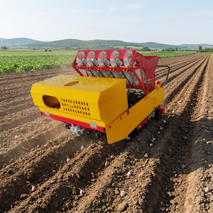 Semoir à ail automatique à prix abordable, planteur de gousses d'ail haute précision, machine agricole pour le marché mondial - Product Image 5