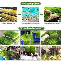 Système de culture hydroponique de germination de semis de luzerne, d'herbe de blé et de foin vert pour bétail