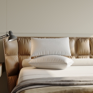 Almohada <span class=keywords><strong>de</strong></span> cama <span class=keywords><strong>de</strong></span> <span class=keywords><strong>tamaño</strong></span> estándar en el extranjero, almohada <span class=keywords><strong>de</strong></span> plumón <span class=keywords><strong>de</strong></span> ganso 40% para Hotel y hogar, núcleo <span class=keywords><strong>de</strong></span> almohada usado - Product Image 2