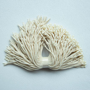 Cuerda de algodón ecológica cuerda colgante Etiqueta de sello de plástico <span class=keywords><strong>para</strong></span> <span class=keywords><strong>ropa</strong></span> cinta con logotipo - Product Image 4